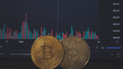 Which fields to check on a buy order page: a ranked list